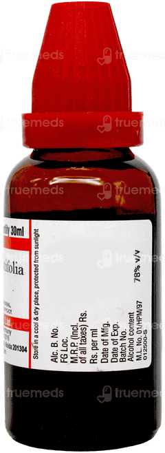 Dr Willmar Schwabe Echinacea Angustifolia Q Mother Tincture 30ml Dr Willmar Schwabe Echinacea Angustifolia Q Mother Tincture 30ml